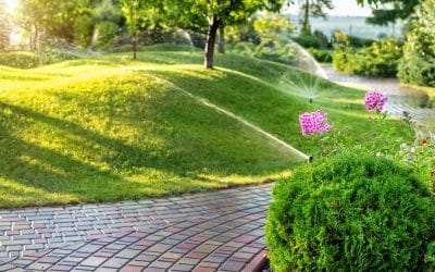 Landscape and Property Maintenance Professionals
