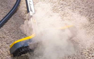 Carpet Cleaning Experts