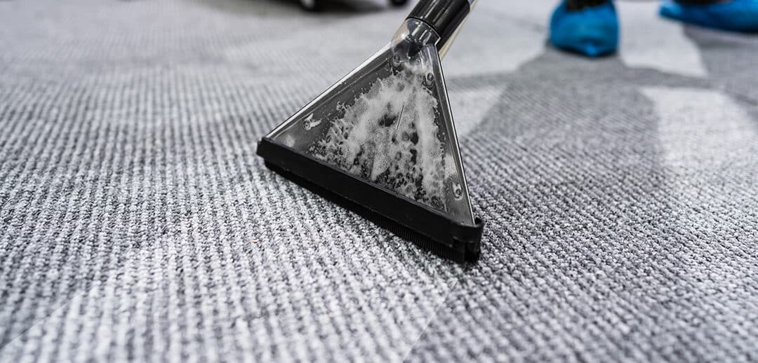 Cleaner shampooing carpet with machine