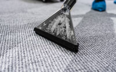 Cleaning Services, You Can See and Smell