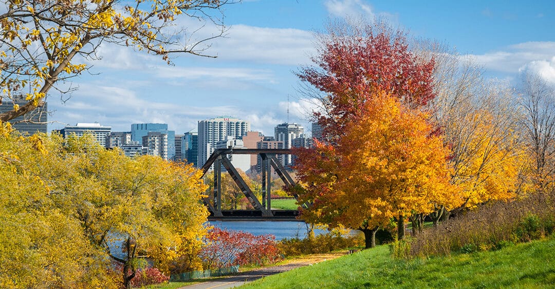 Cityscape with river, bridge, autumn trees and commercial buildings