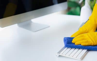 Spring Cleaning For Offices: What Your Business Should Prioritize
